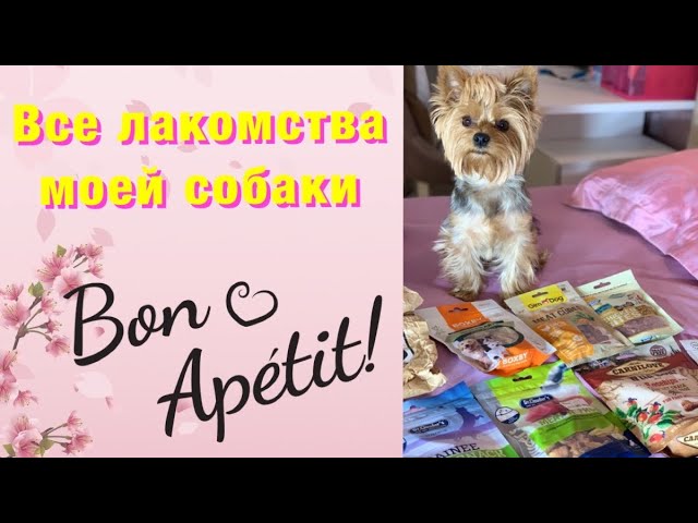 Все лакомства моей собаки