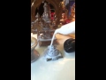 Kamakshi Amman Sri Cakra Abhishekam