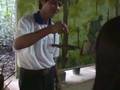 Vietnam - Traps of the Viet Cong / FNL