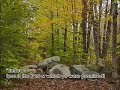 Surah Yassin - Part 2 Surah Yassin - Part 2