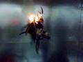 Choppaheads Satanic Burning