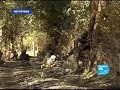 FRANCE24-FR-Exclusif-Reporters-L\