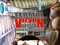 yalova-termal-vizyon-ekmek-unlu-mam-lleri-.html
