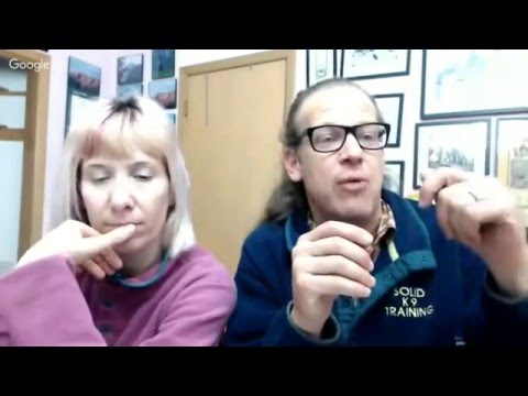 Stop puppy biting | Dog bites pant leg | What Would Jeff Do? Q&A Dog Training Help