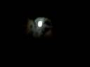 Cool moon Cool moon
