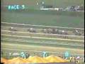 1988 Santa Anita Derby