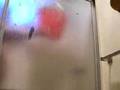 Airedale Terrier video