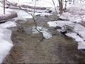 Relax with the sounds and sights of nature