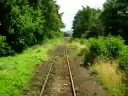 Kamieńczyk na linii 309 - dojazd do przystanku