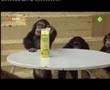 Ook dat nog - apen bananenvla test