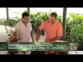 Jamaican Rum Sauce (VIDEO)