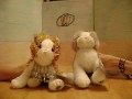 Webkinz World News