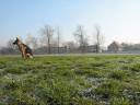 Azja spod Gichty - trening