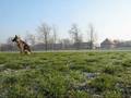 Azja spod Gichty - trening