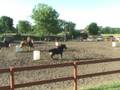 videos de Watertown 4inline 1