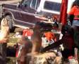 Chainsaw carving