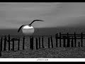 I don�t want to miss a thing - Tradu��o