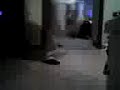 paso flogger