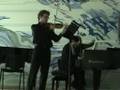 videos de brahms violin sonata № 3 1. ostap manko & serhij hryhorenko