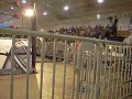 XPW FANS