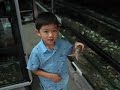 11 babies skink part2 11 babies skink part2