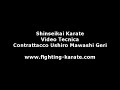 Shinseikai Karate Video Tecnica-Contrattacco Ushiro Mawashi
