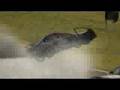 Race Driver: GRID interview video DS PC PS3 X360