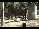 Kiddy Kaboodle - Episode 1 Kiddy Kaboodle - Episode 1