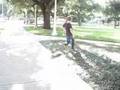 Skate'n Stupid