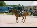 Dressage: On the way to GP Piaffe Passage Part IV Dressage: On the way to GP Piaffe Passage Part IV