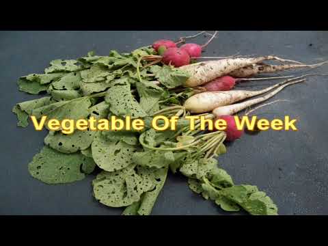 how to fertilize beets