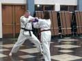 Ellis Family Taekwondo Board Breaks