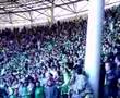 bursaspor taraftar show