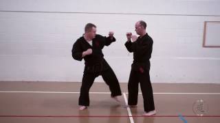 Front Leg Round Kick Parther