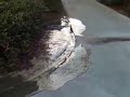 Japan Earthquake - Liquefaction in Makuhari