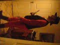 video1 video1