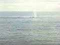 Alaska road trip 2001 part 1