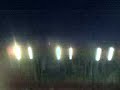 Tsunami - ShowPark - Ca�ada de g�mez
