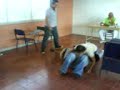 ataque al emo charrito