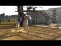 videos de Sand Cay Farm, TBA Dressed To Impress, 2 yr old Section A Welsh Stallion