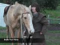L2 FS3 Bridle Your Horse