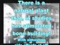 Osteoporosis Research