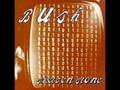 videos de Bush - Glycerine