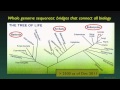 The Human Genome and Individualized Medicine - David Valle