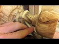 Captive Ring Demonstration
