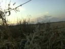 honker hunting saskatchewan