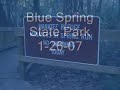 Blue Spring and Crystal River Manatees