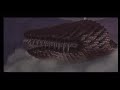 Thunder Dragon 12 Round Battle Fight Challenge: 1. Demise - @ 0:45 2. Imprisoned 3 - @ 2:49 3. Demon Lord Ghirahim 1 - @ 6:18 4. Pyroclastic Fiend Scaldera - @ 7:25 5. Thousand Year Arachnid Moldarach - @ 8:43 6. Imprisoned 1 - @ 11:01 7. Abyssal Leviathan Tentalus - @ 14:58 8. Demon Lord Ghirahim 2 - @ 19:02 9. Demon Lord Ghirahim 3 - @ 21:15 10. Ancient Automaton Koloktos - @ 24:11 11. Imprisoned 2 - @ 28:47 12. Horde Battle - @ 33:35 (Moblin fence jump @ 35:03) - Horde Battle (full version, no fence jumping) - www.youtube.com Final reward is 9900 Rupees but I only had the 5900 wallet. Watch my No Damage Boss Rush - www.youtube.com My SS playlist - www.youtube.com The Legend of Zelda: Skyward Sword by Nintendo © 2011