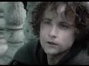 Fxhome LOTR Fxhome LOTR