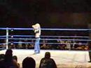 wresltemania revenge